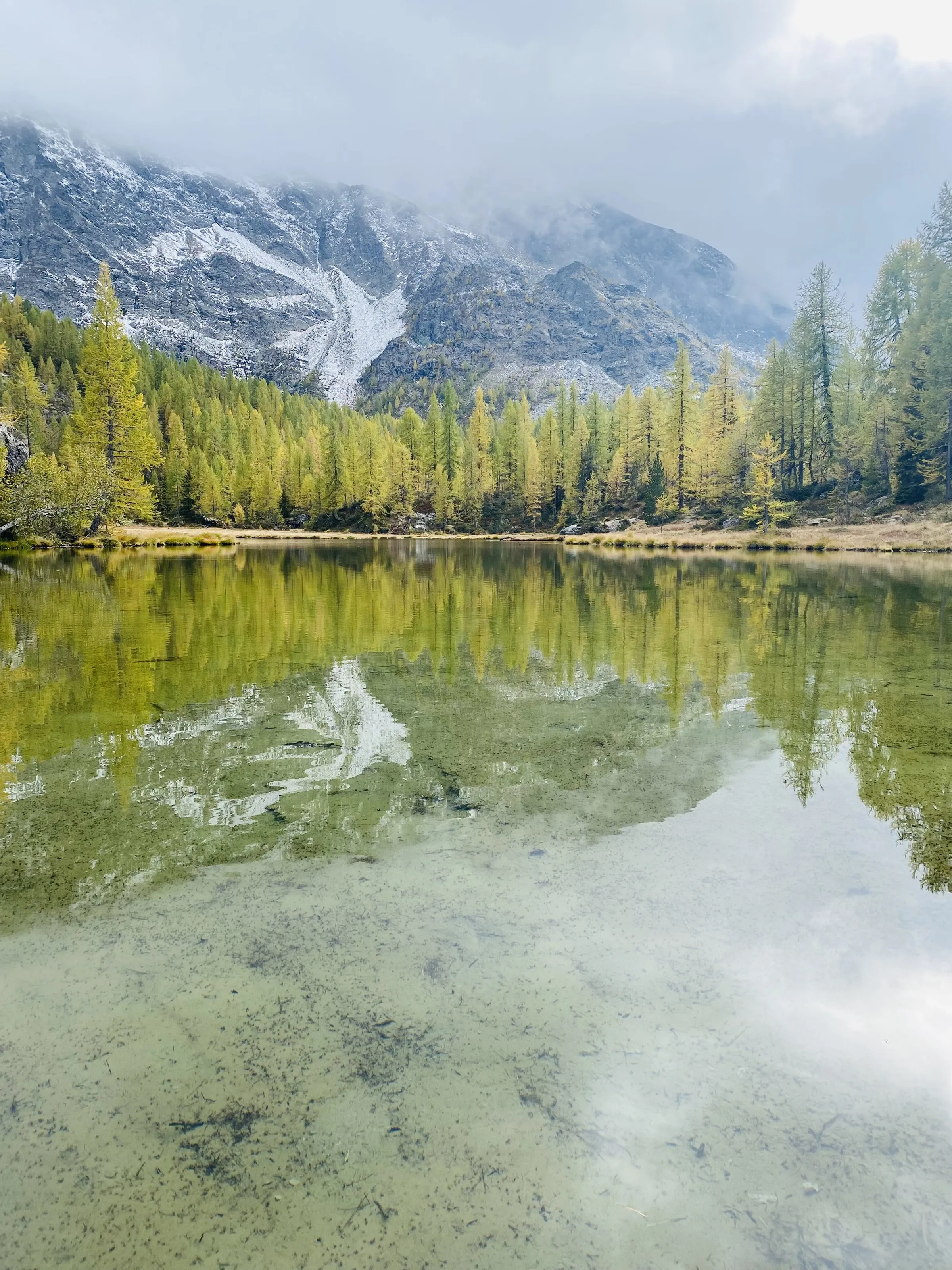 Meravigliosamente Autunno