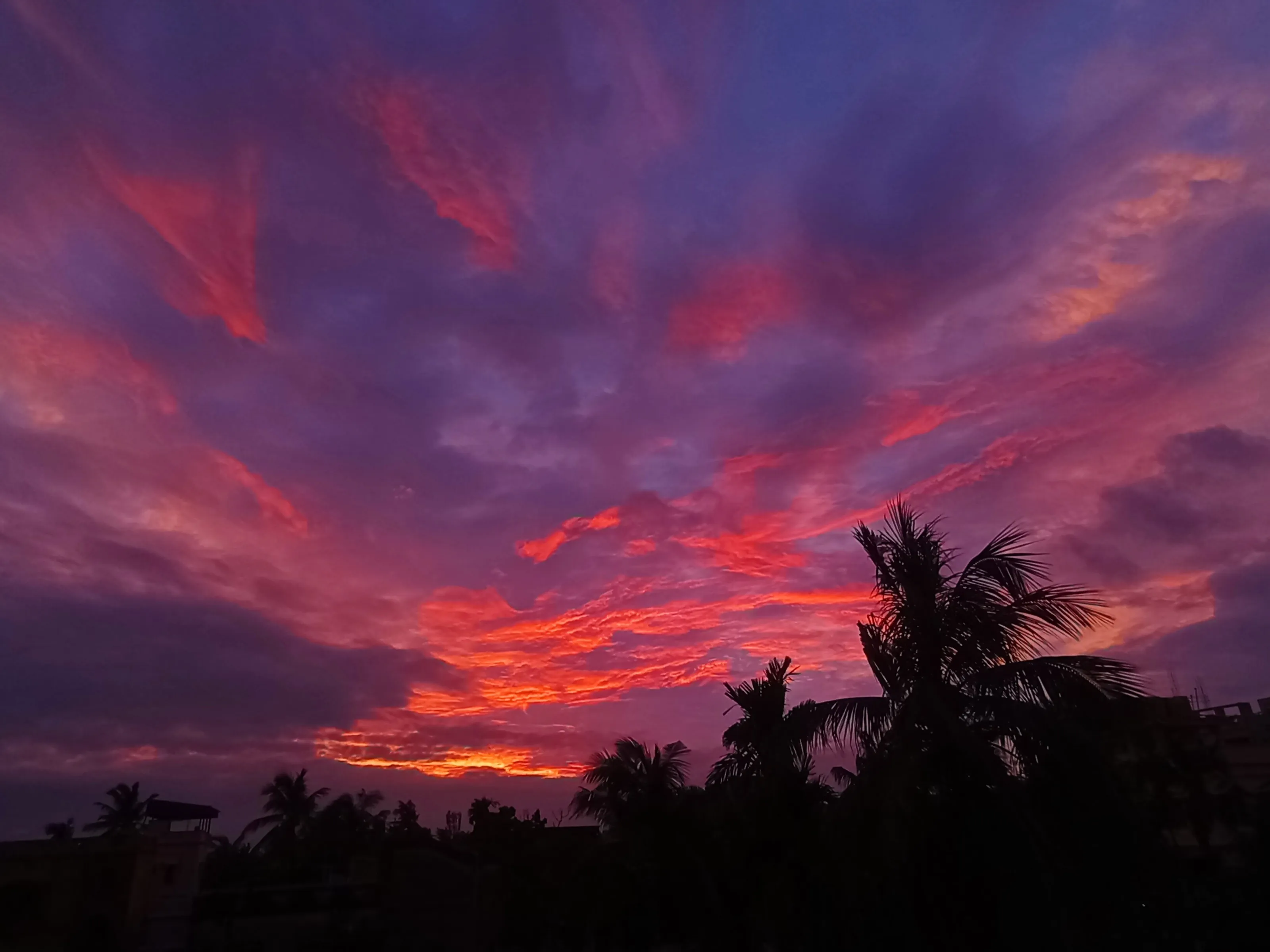 Color &Clouds & Coconut trees