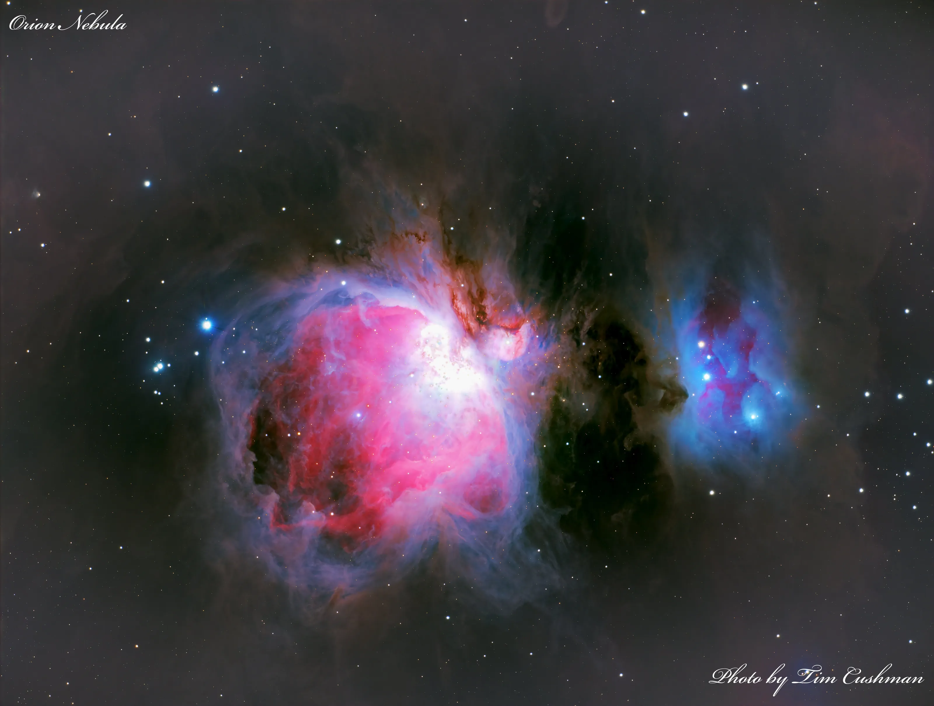 Orion Nebula