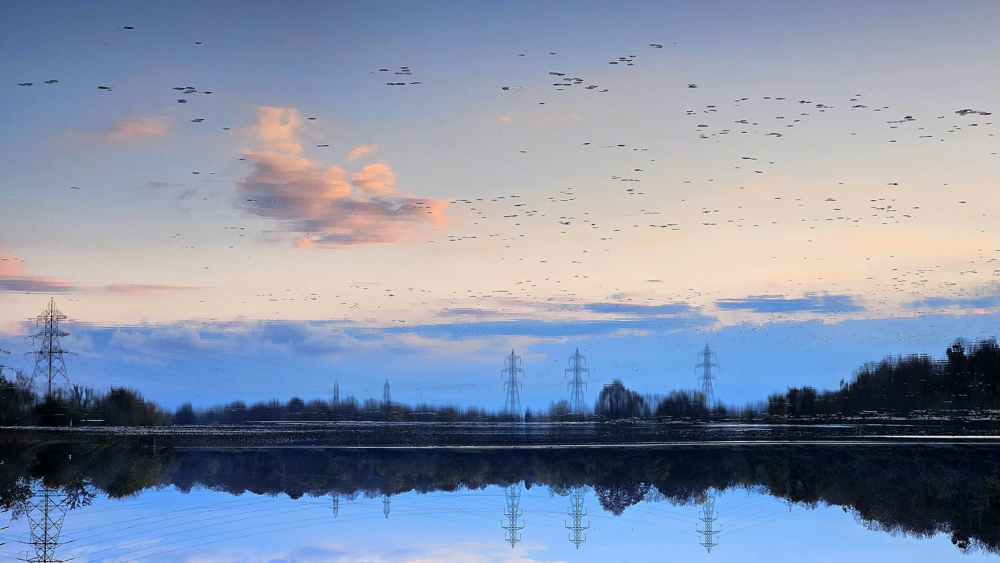 Reflection