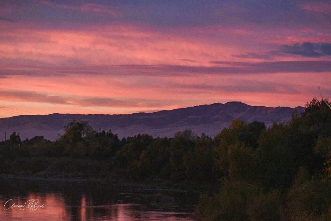 Chilly colors