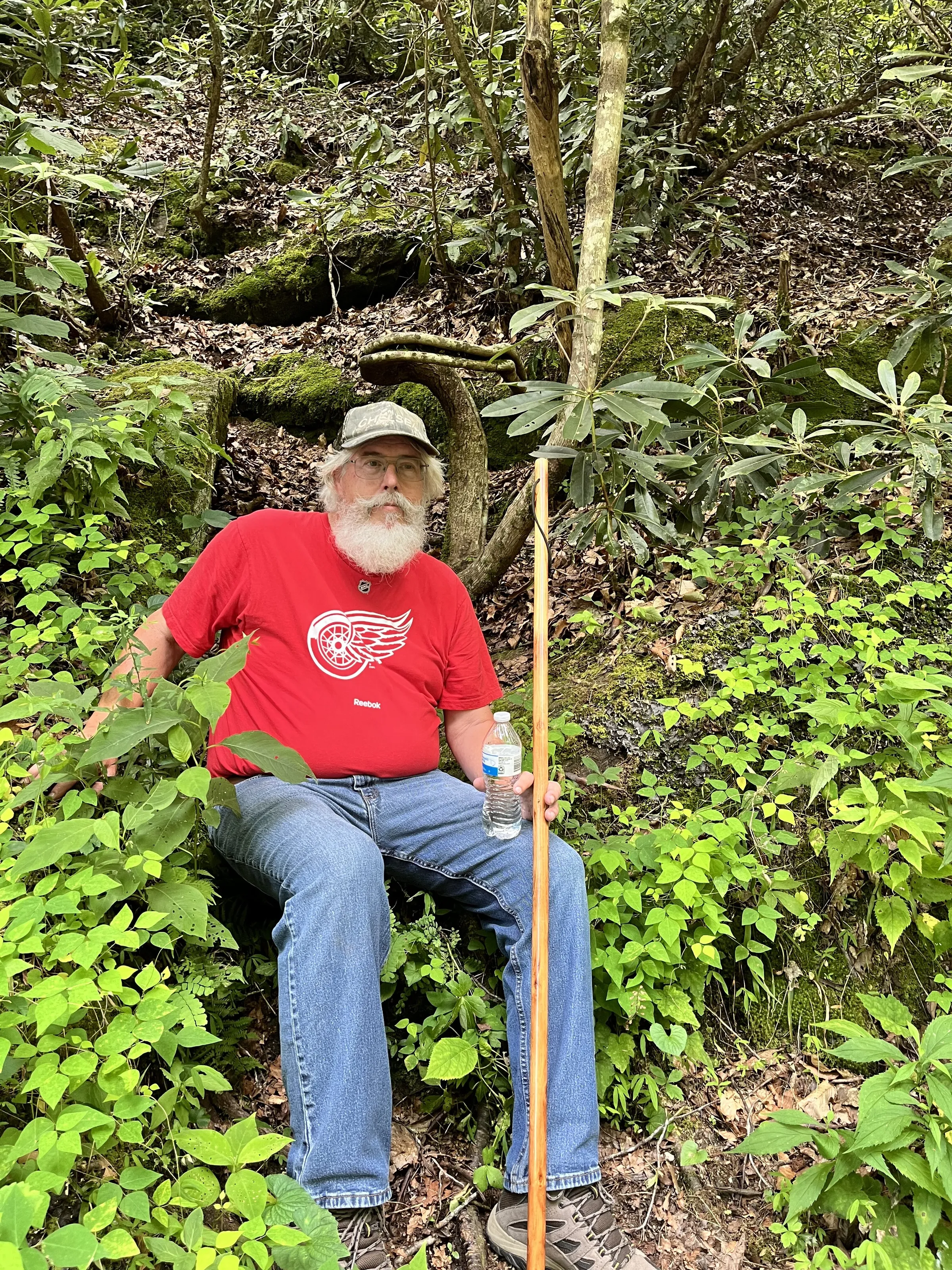 In The Woods