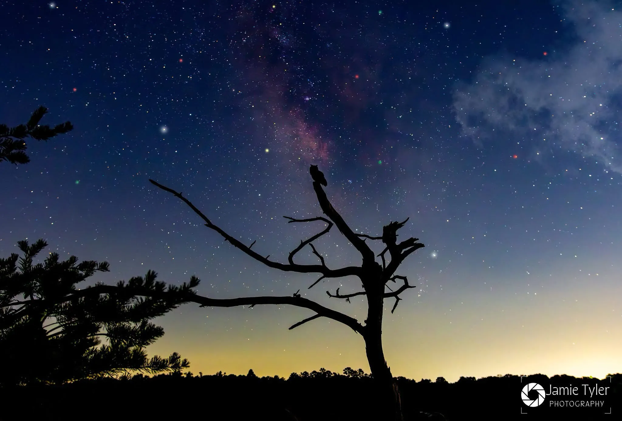 Starry night