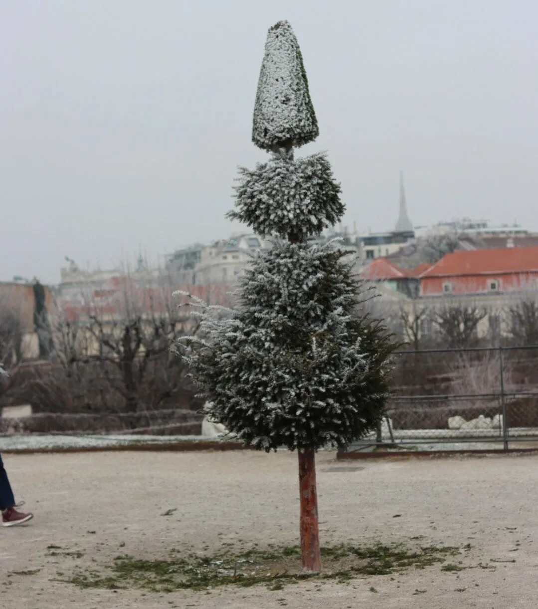 It's cold in Vienna