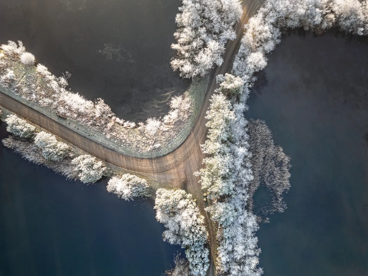 Entry 25120515