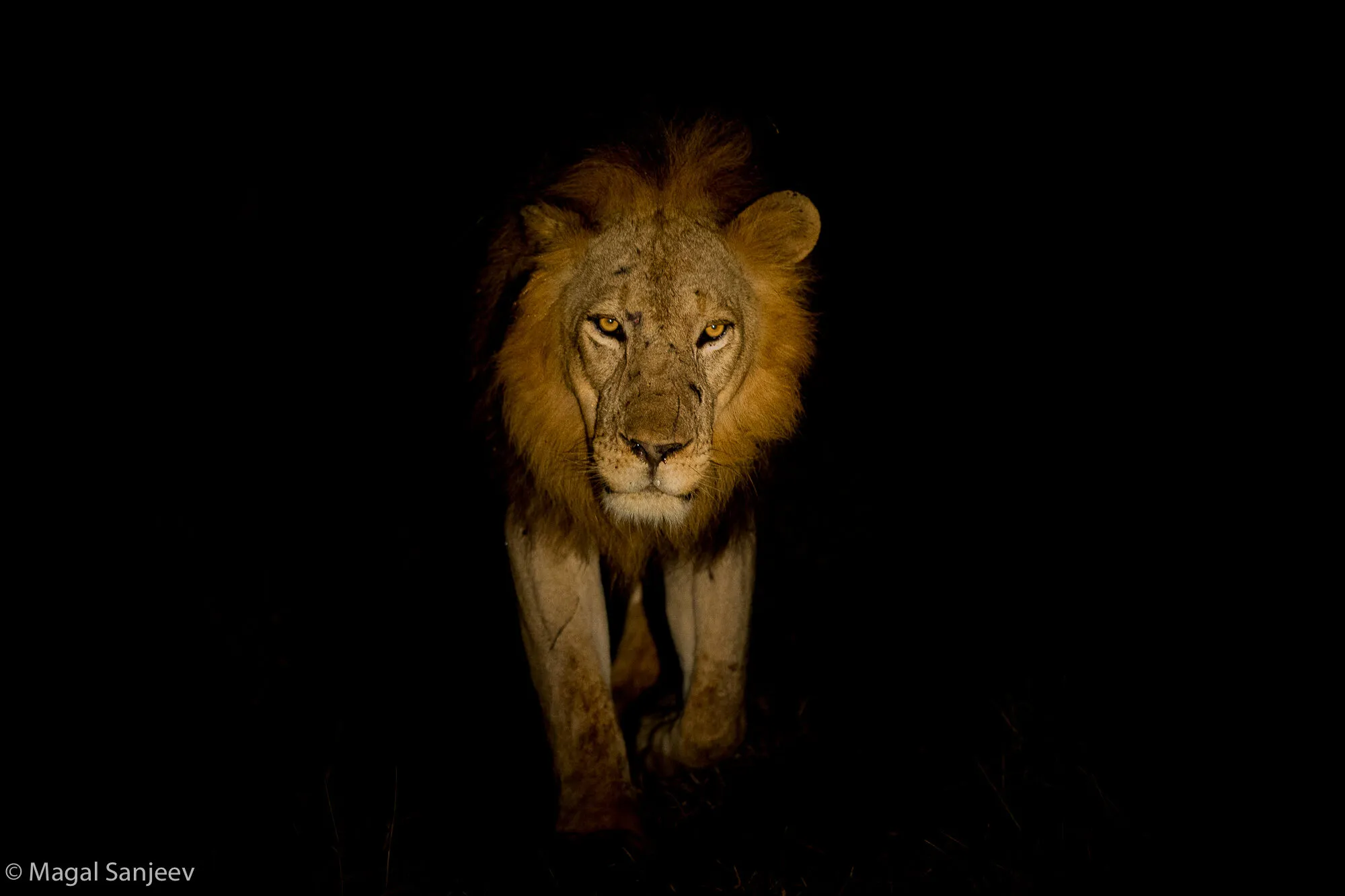 Storming through the Darkness