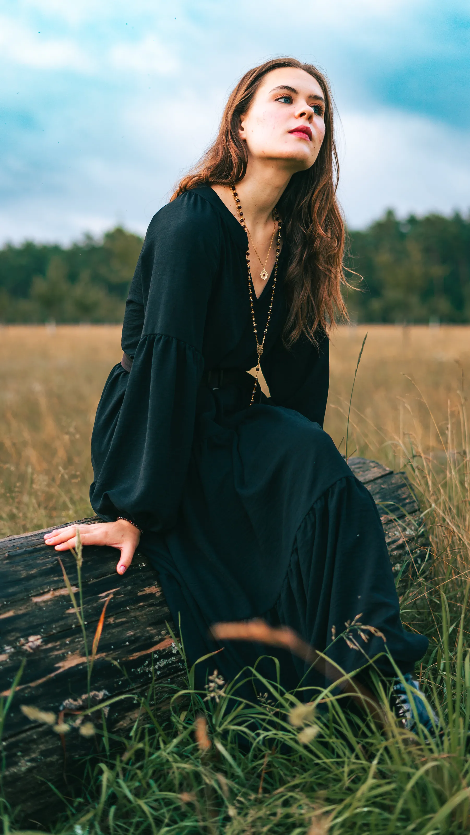 Whispers in the Meadow: Serenity Unveiled