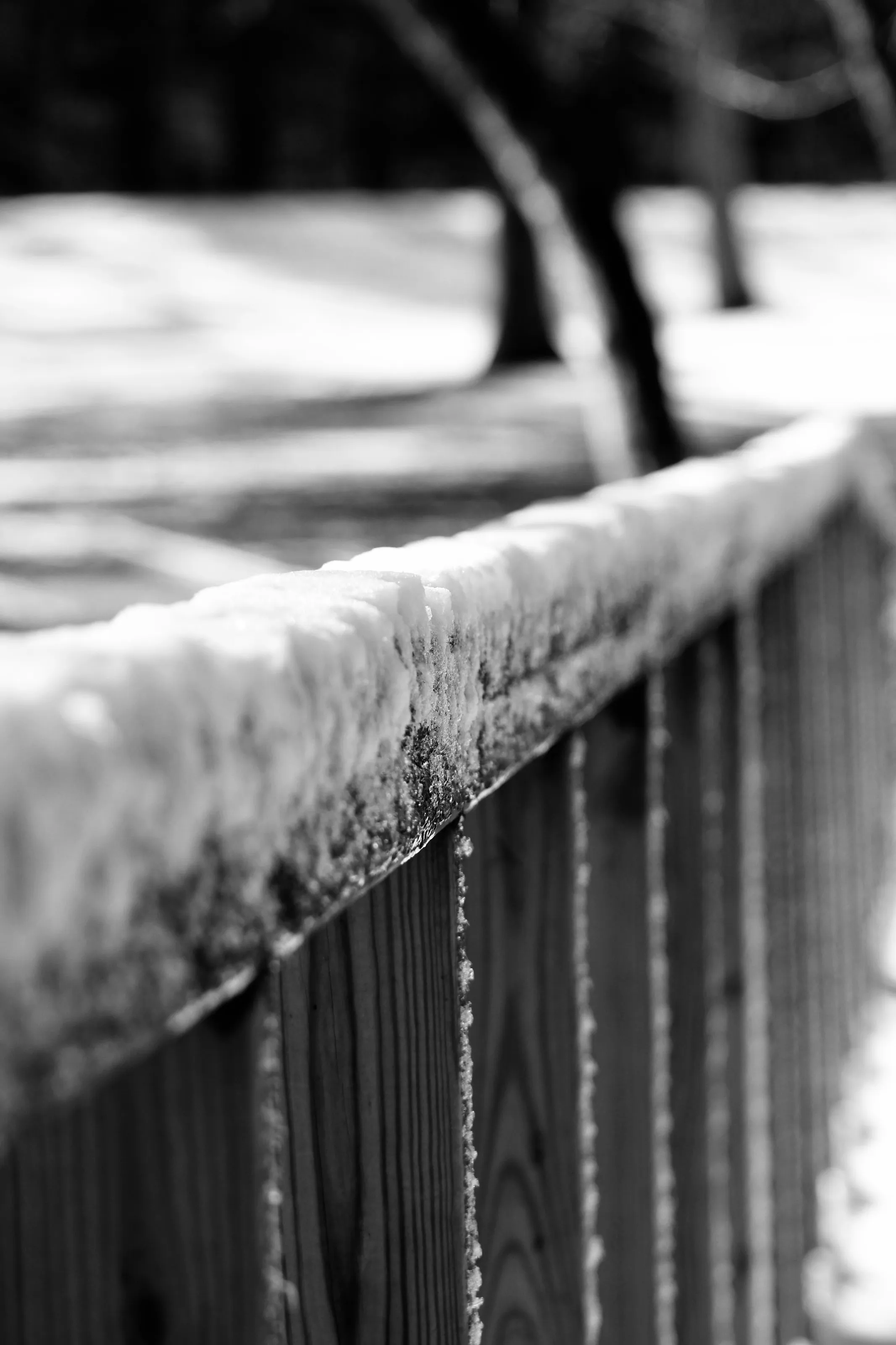 Frozen