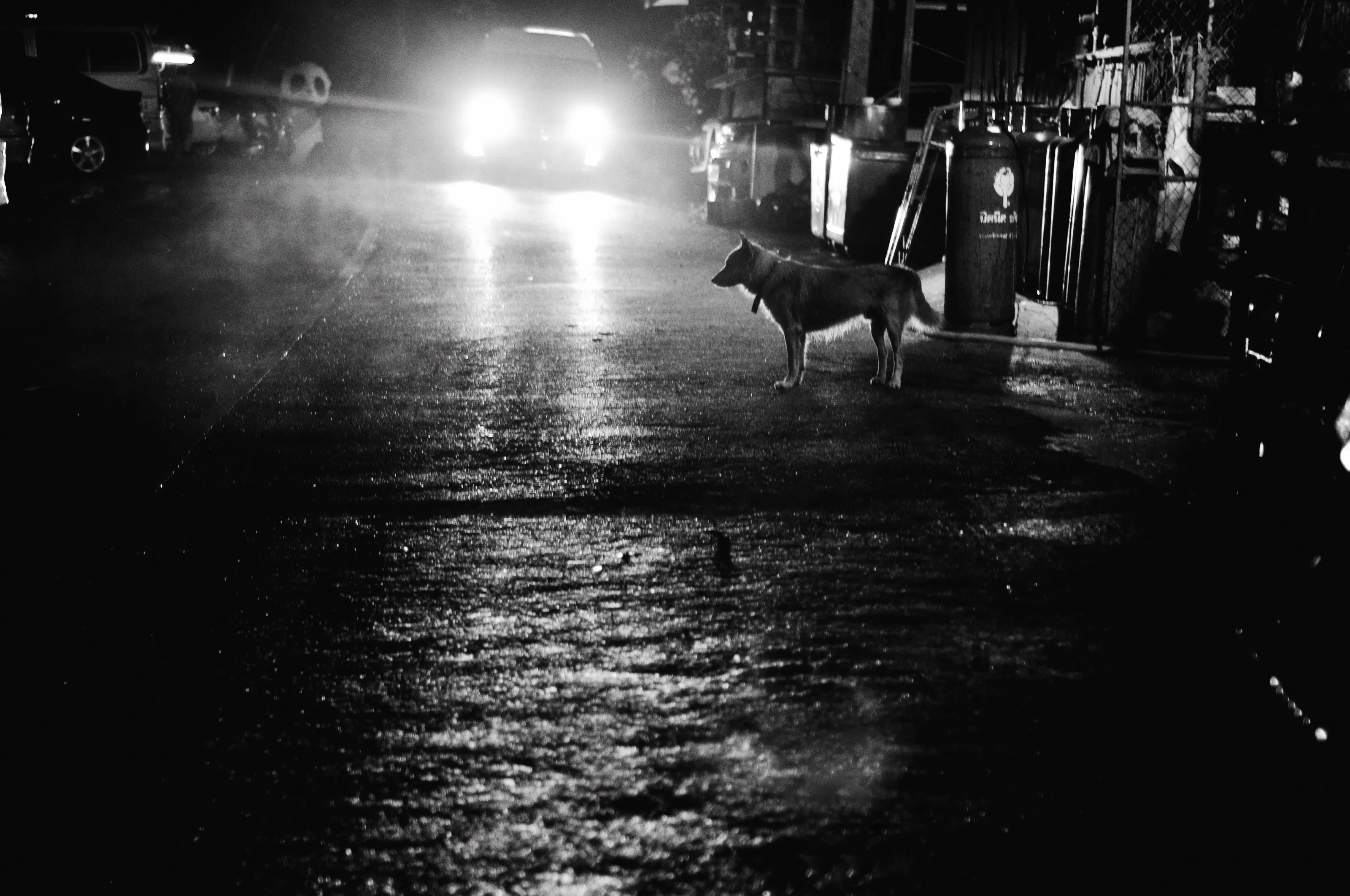 STRANGER