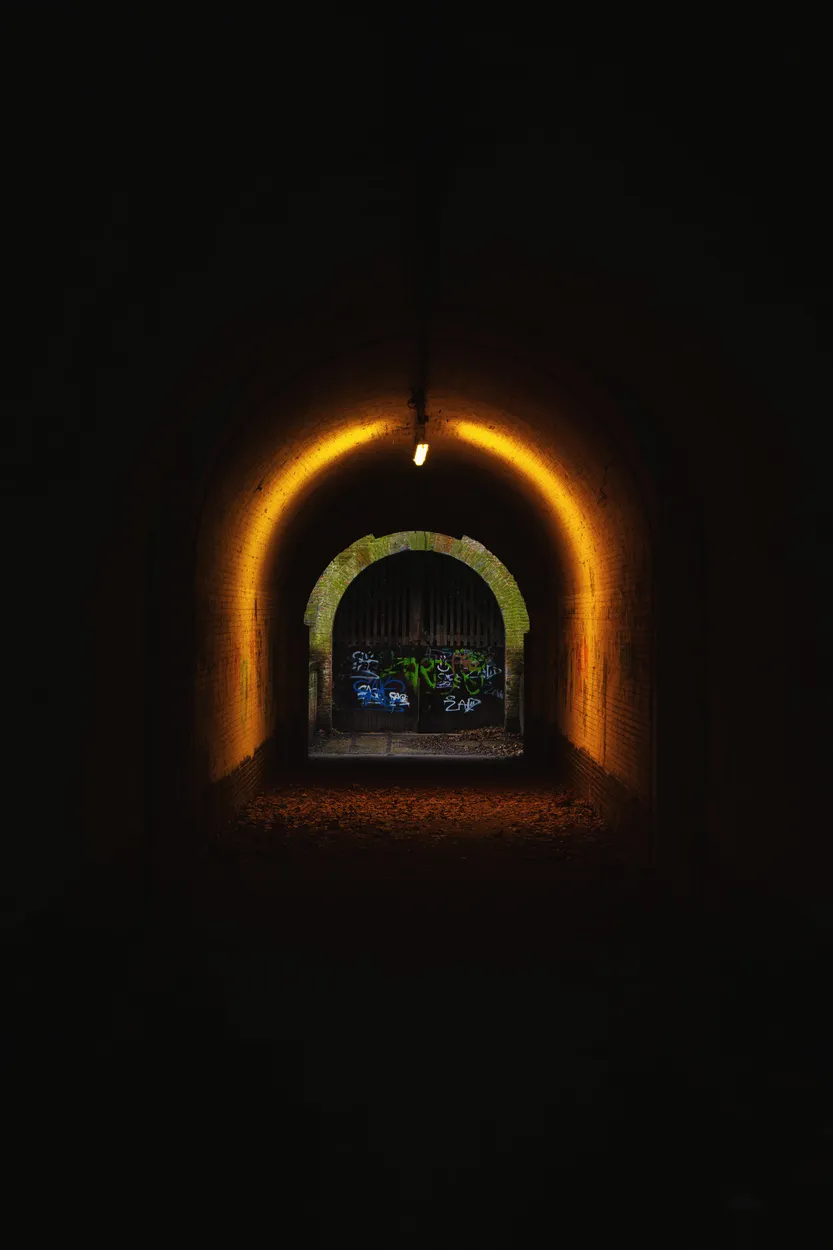 Entry 25069027
