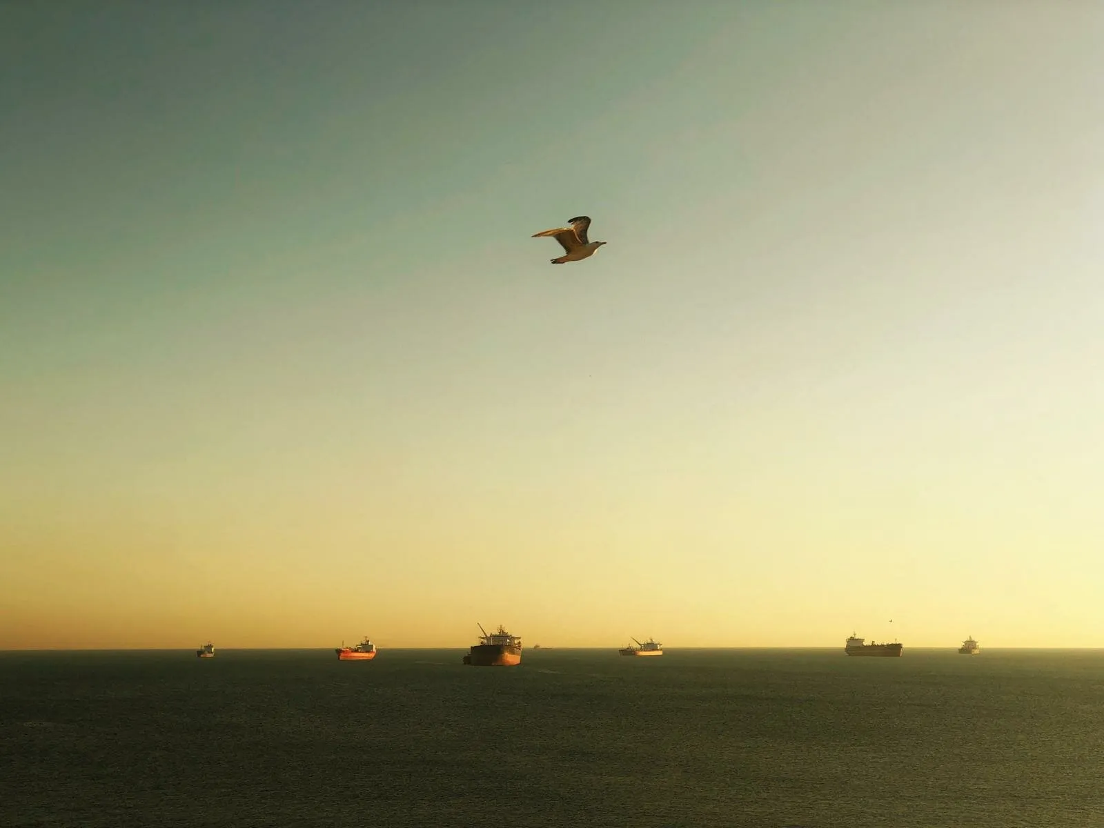 Flying Alone