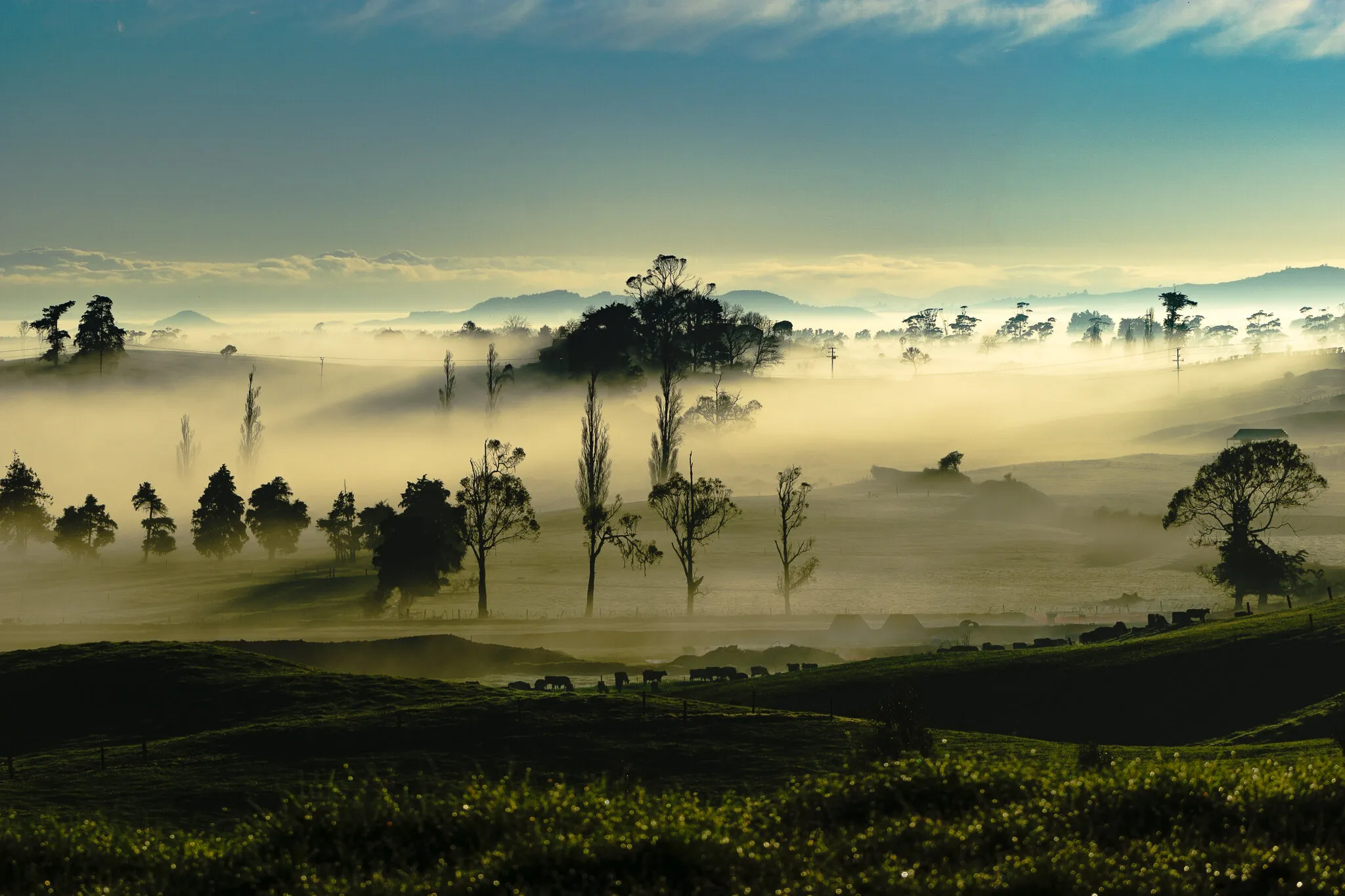 Early morning in the Waikato