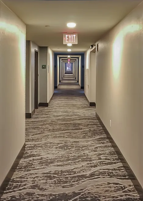 Entry 28970234
