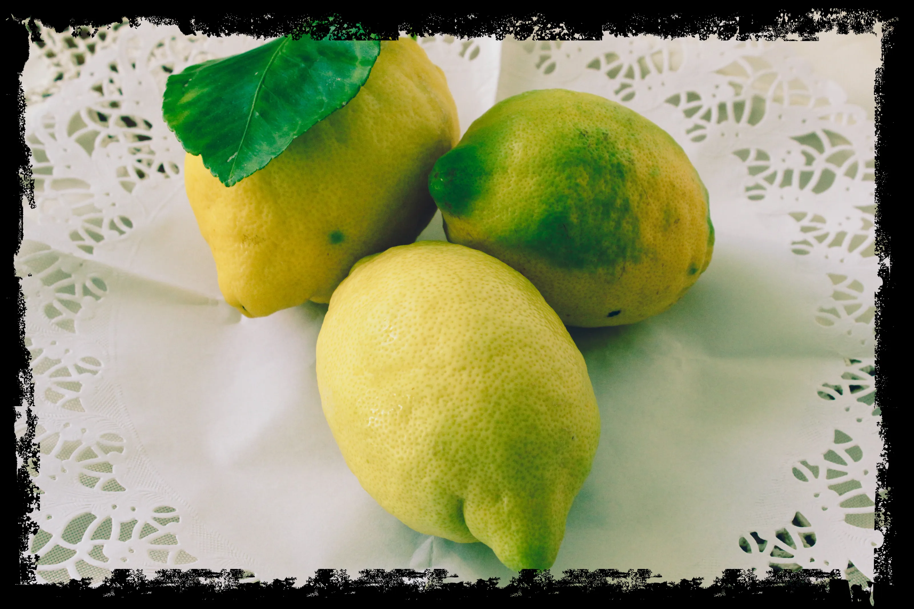 LIMONI SUL TAVOLO