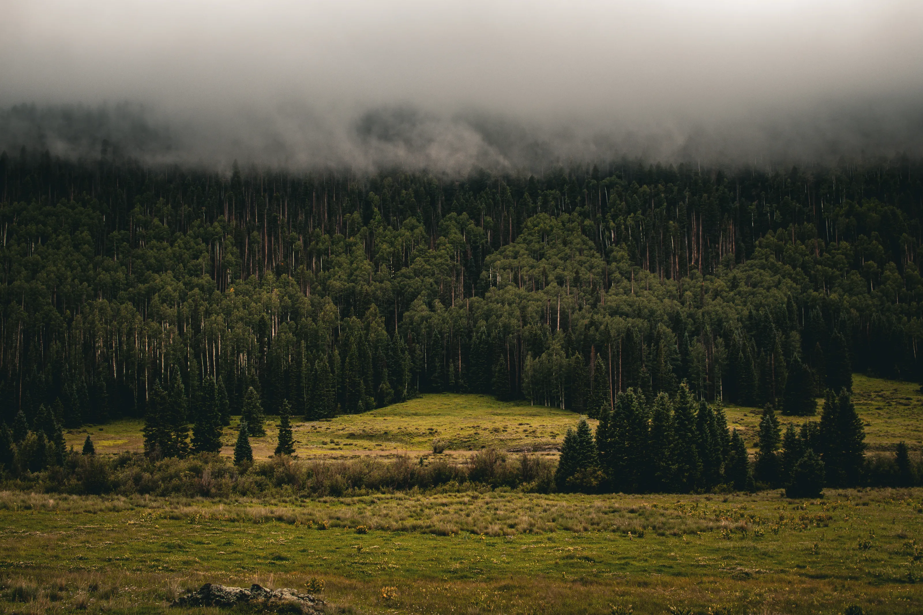 Low Cloud