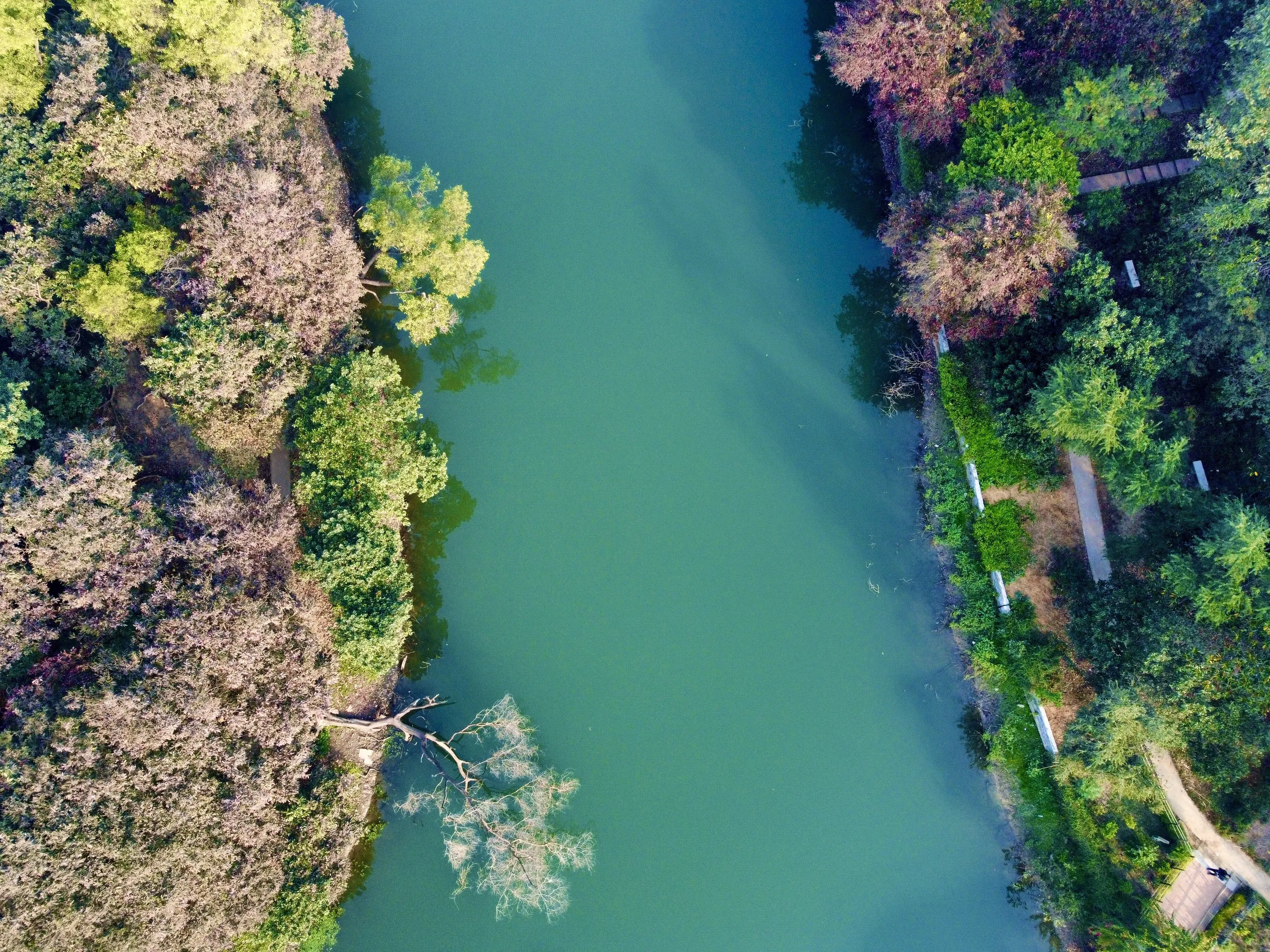Whispers of the Earth & Water