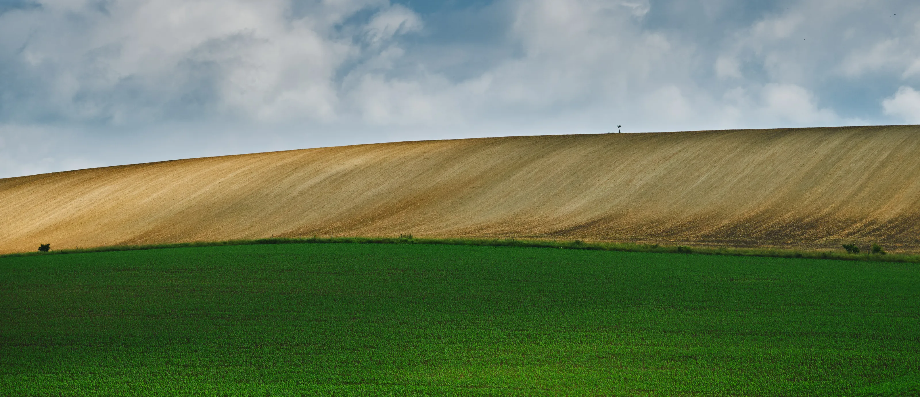 Wavy Moravia