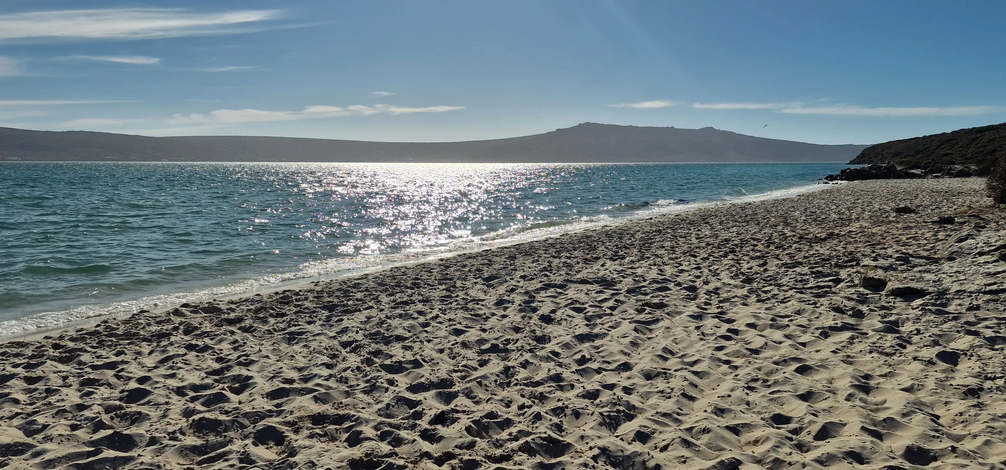 Sharkbay