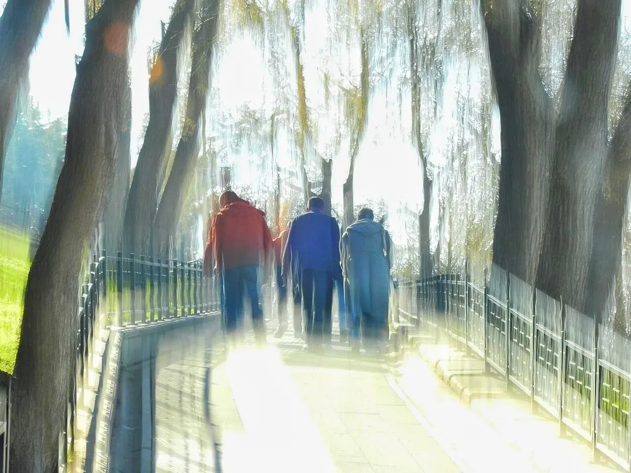 ICM-Intentional Camera Movement techniques