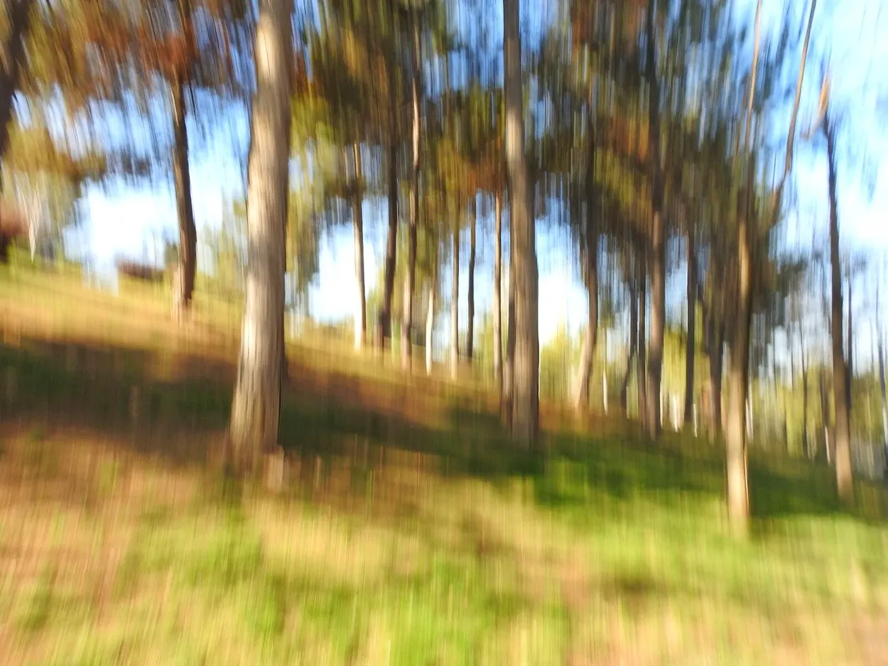 ICM-Intentional Camera Movement techniques