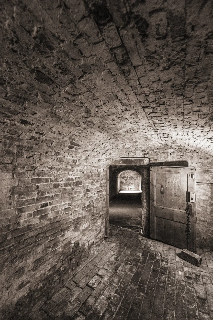 Entry 23116950