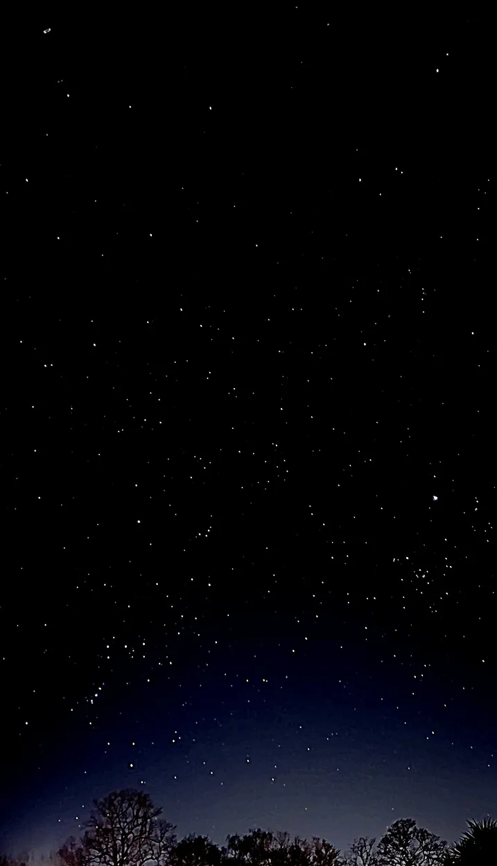 Entry 27085000