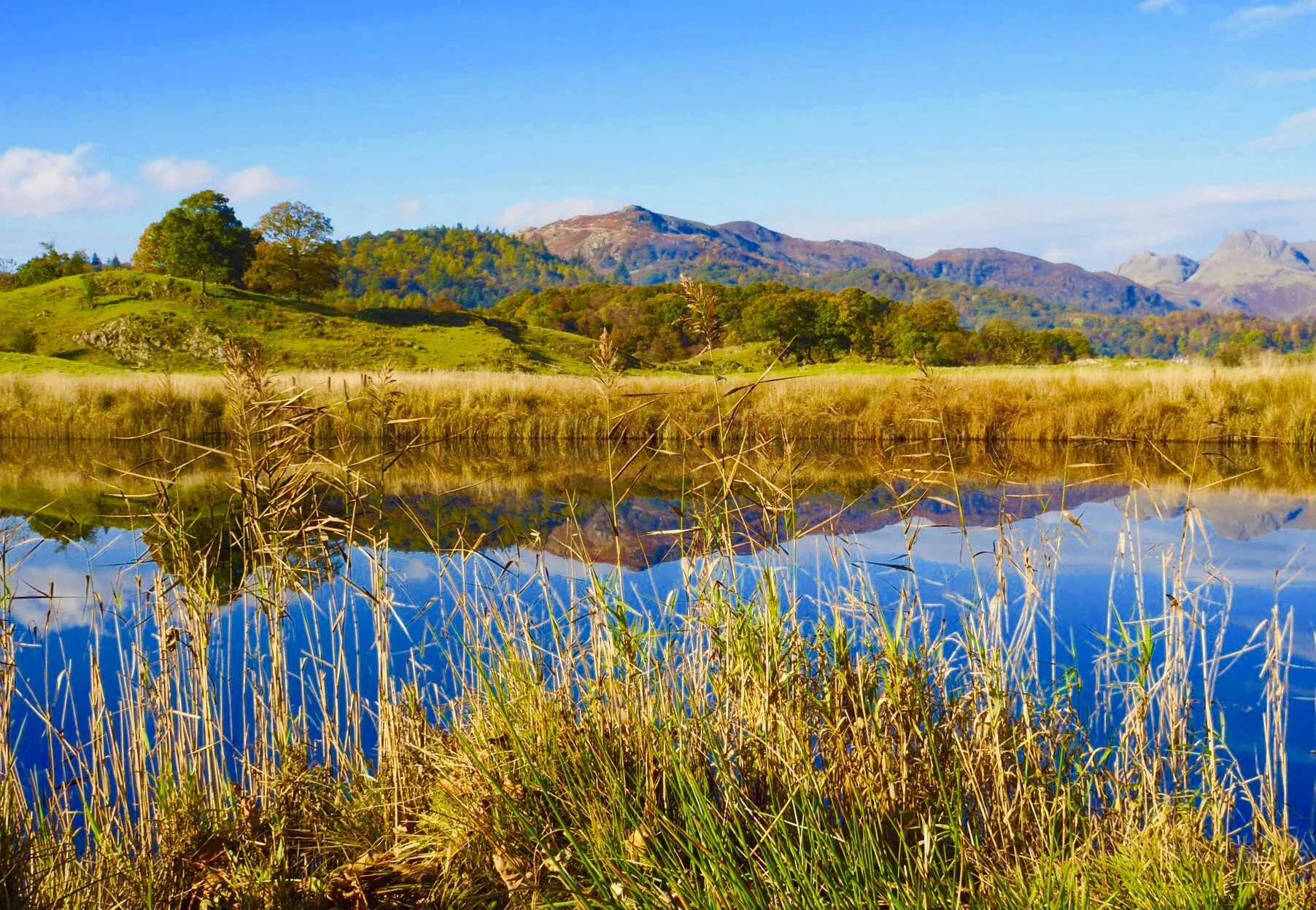 Reflection in the lake