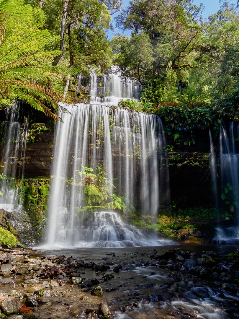 Entry 26446455