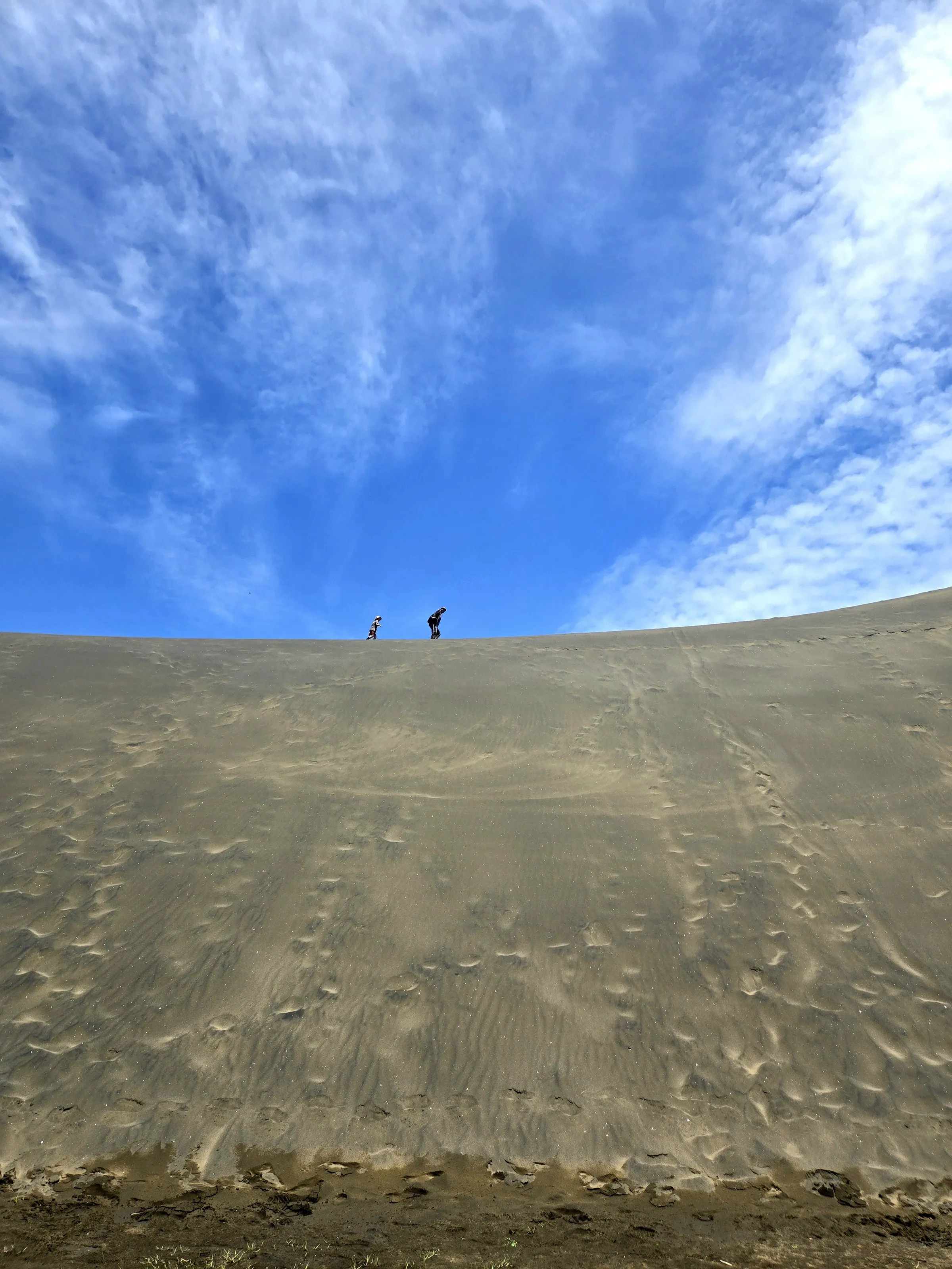 West Coast Sand dunes