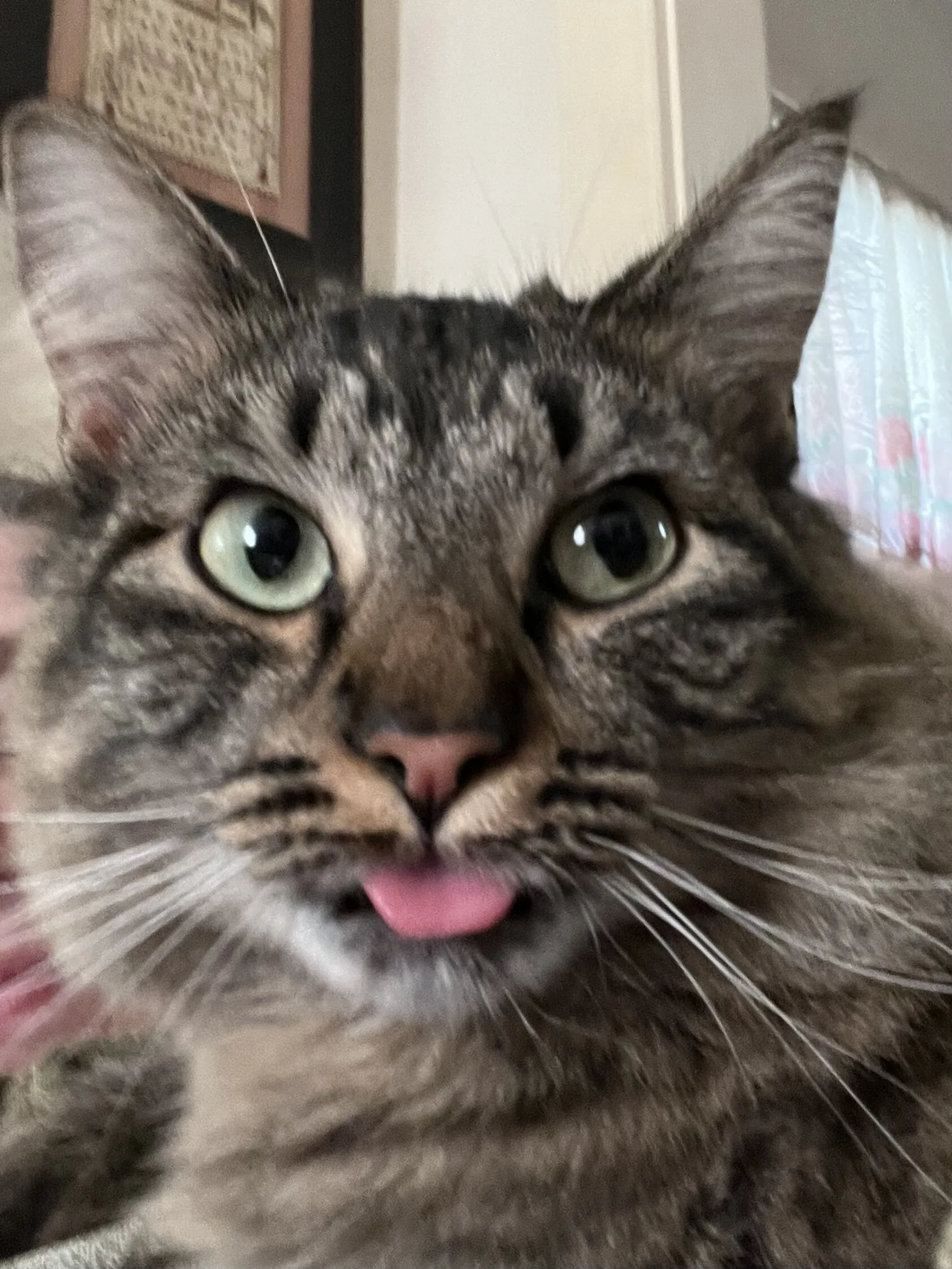 Banner image