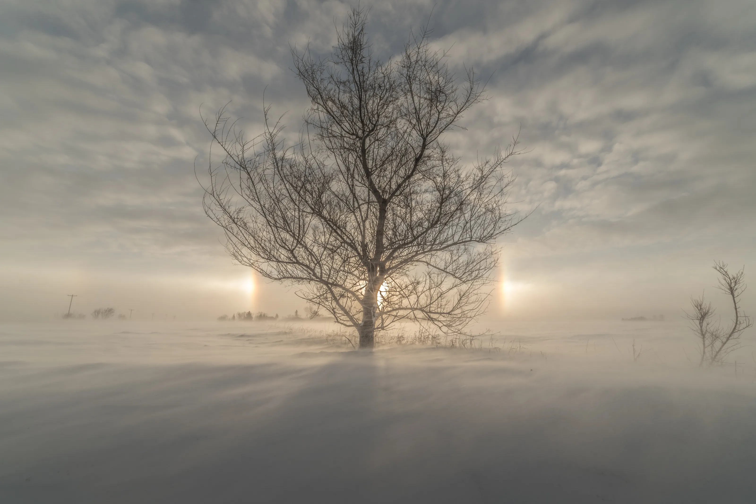 The Light