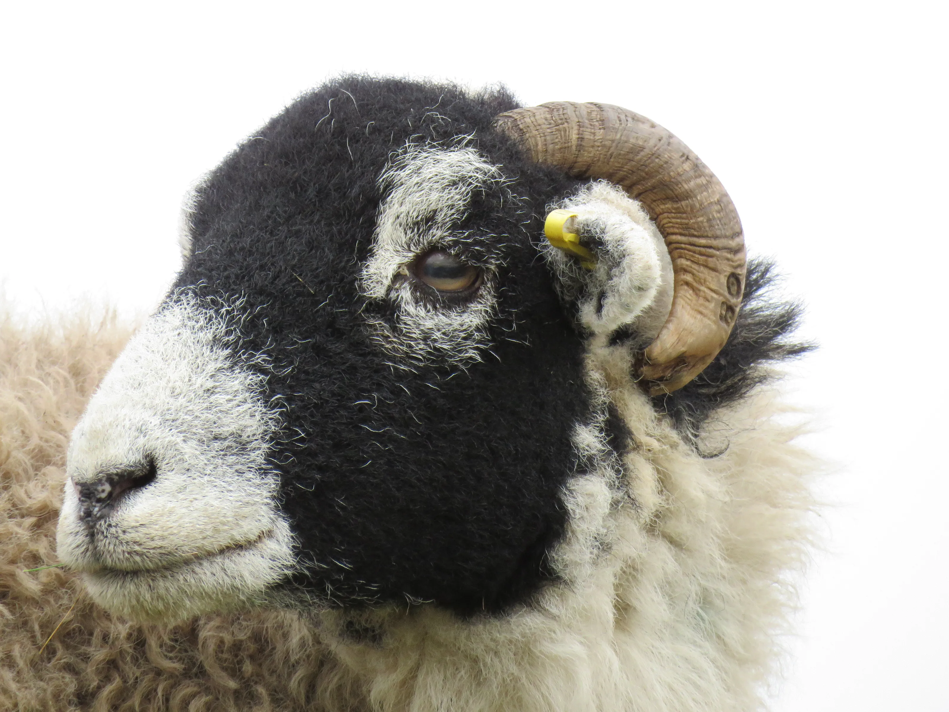 I'm watching you