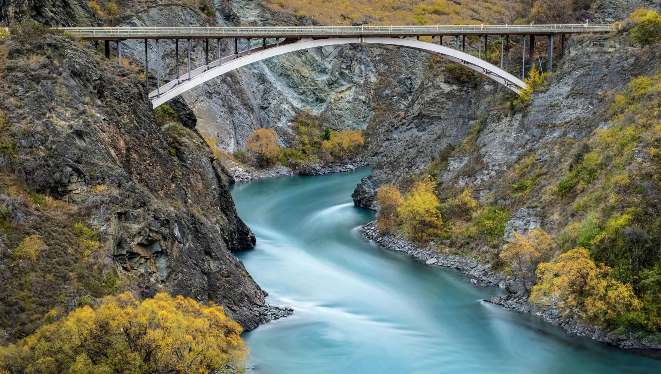 Entry 23180045