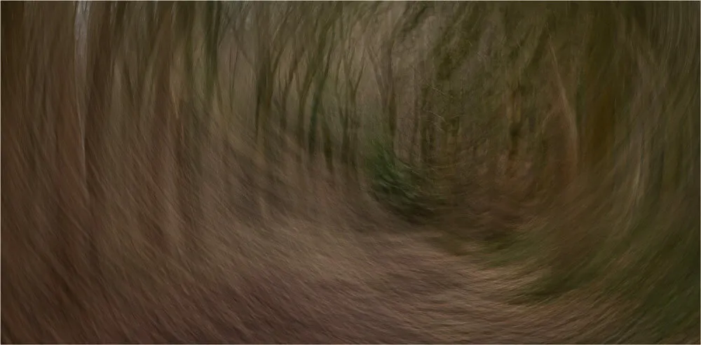 Whispers of Jubilee Wood