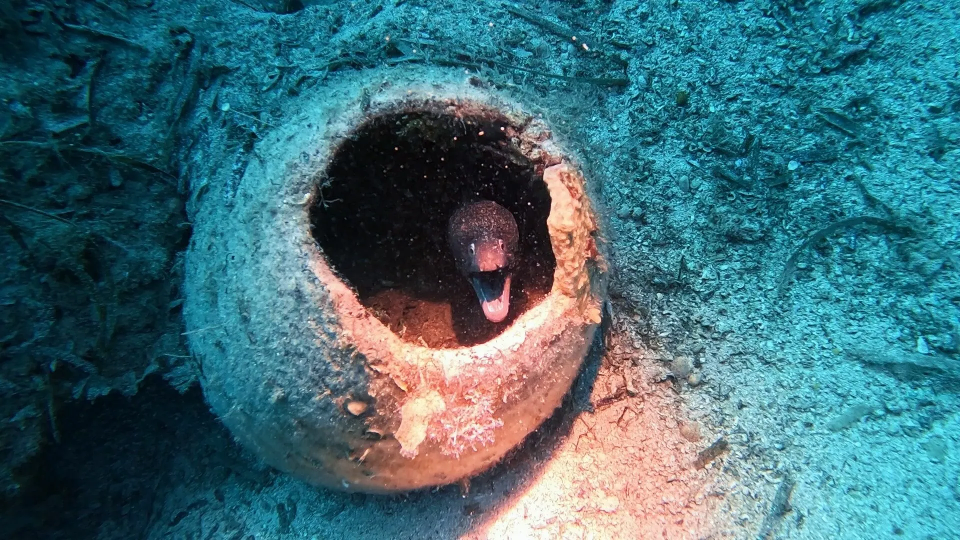 Guardian of the Lost Vessel