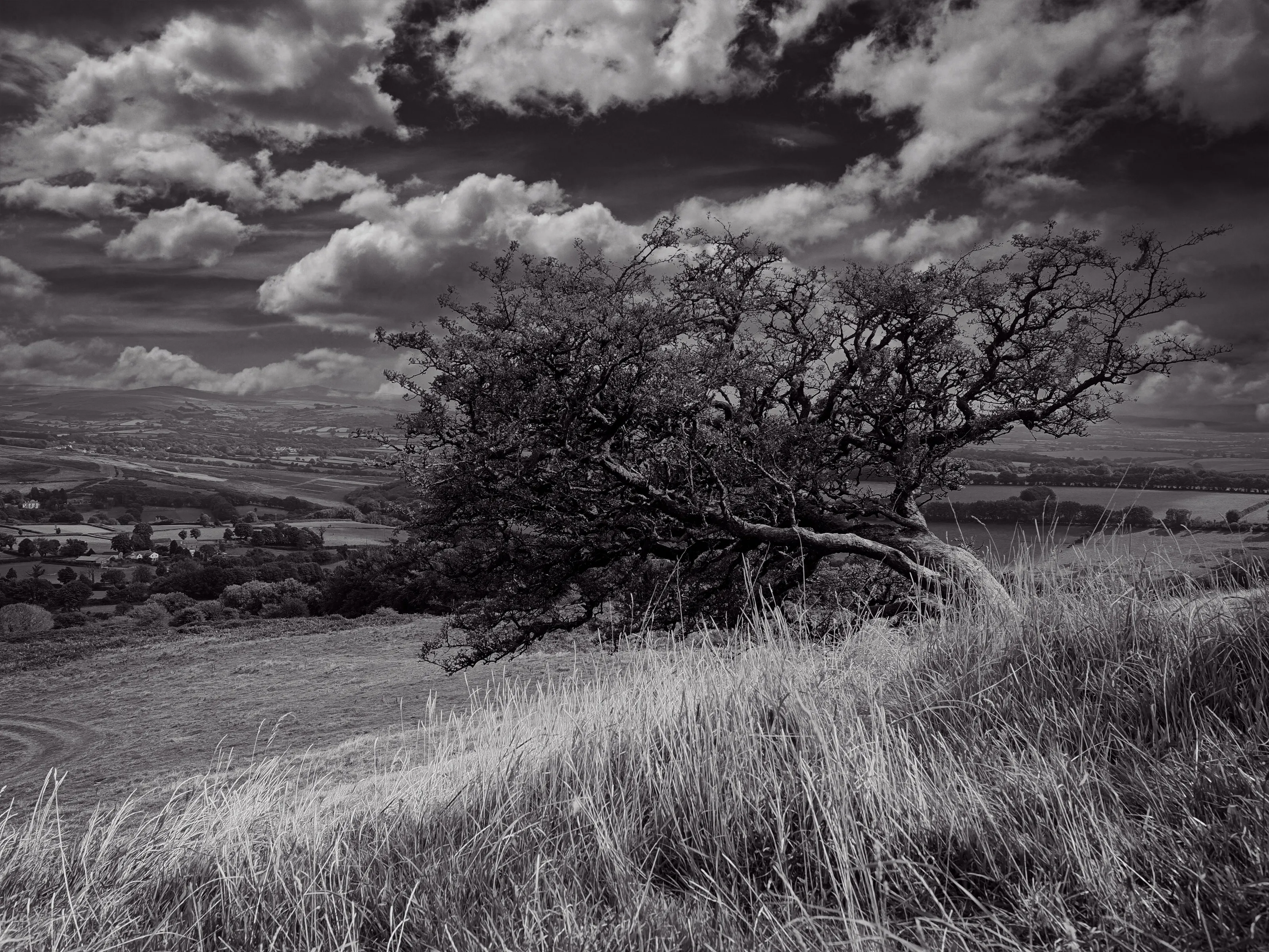 Dartmoor