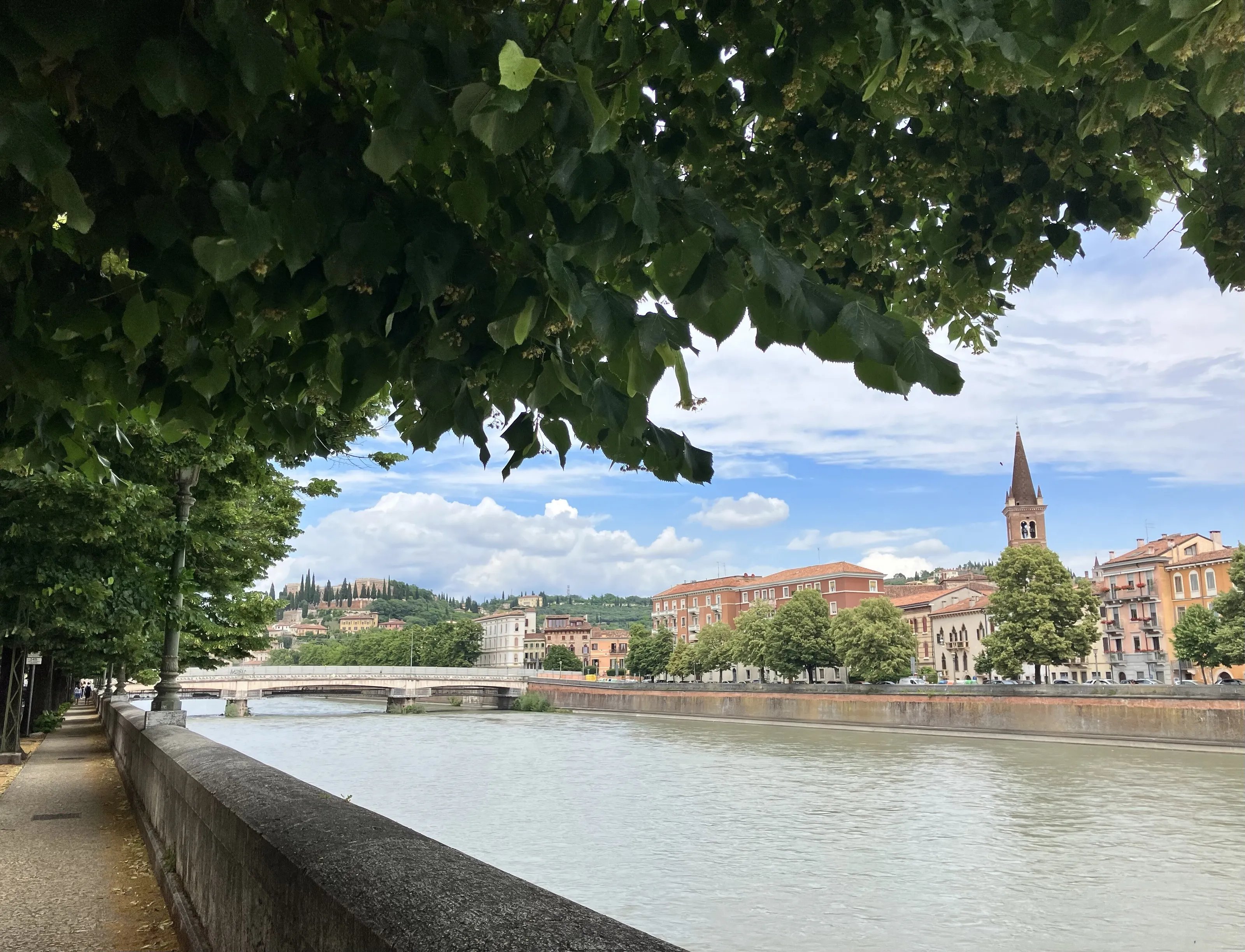 Verona
