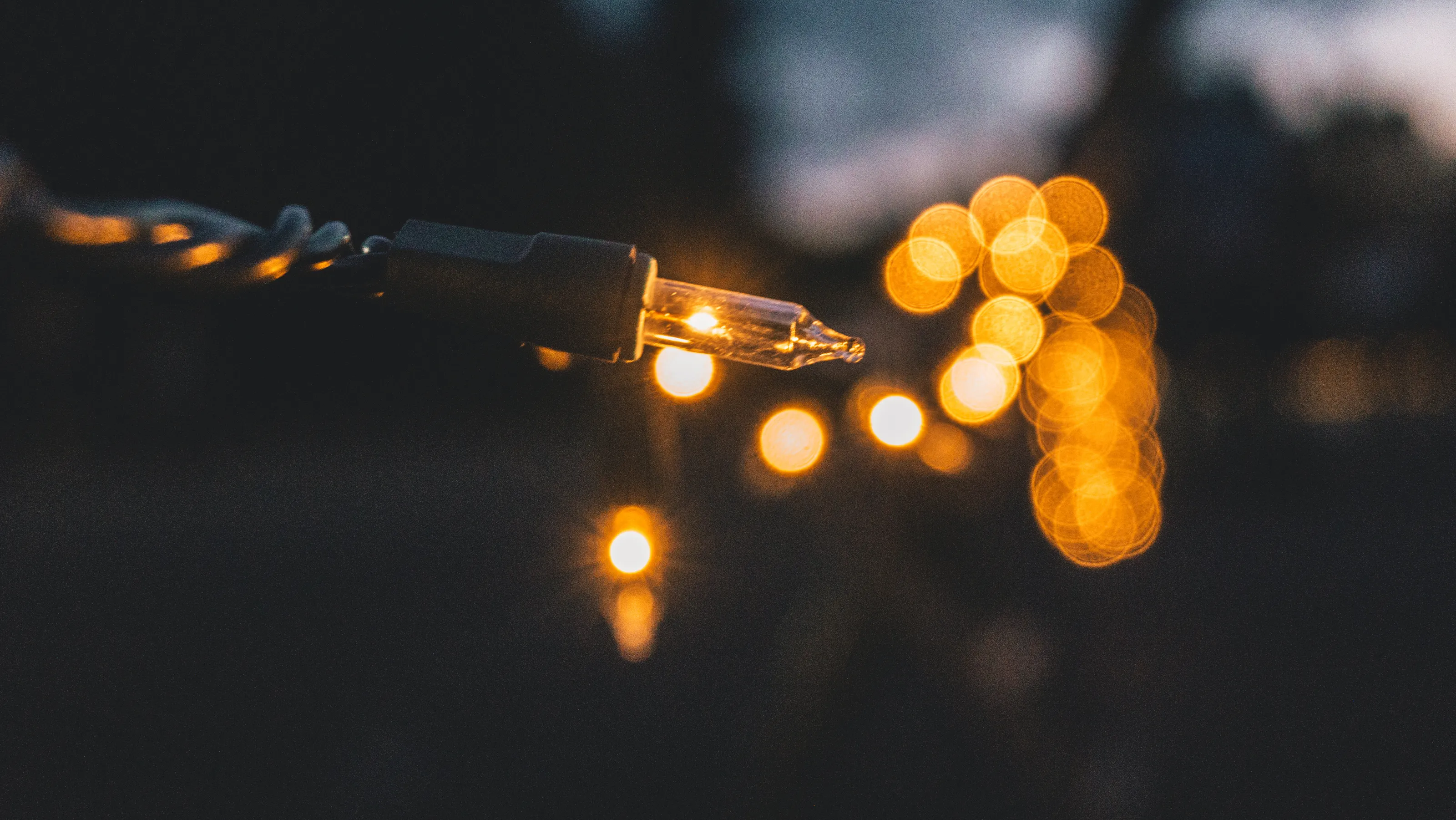 LIGHTS OF THE NIGHT