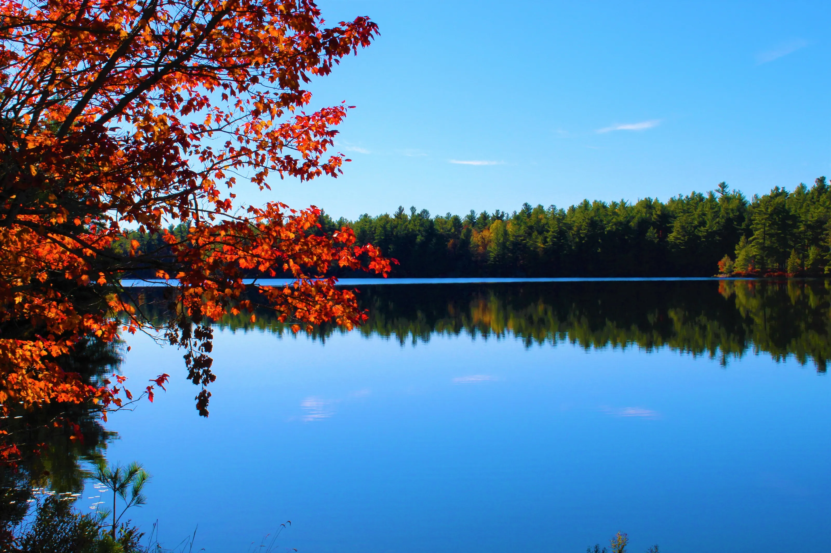 Reflective Beauty
