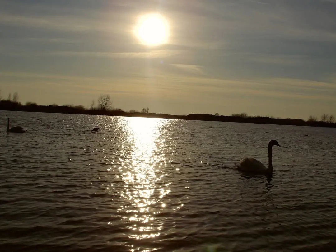 Sun and Water elements