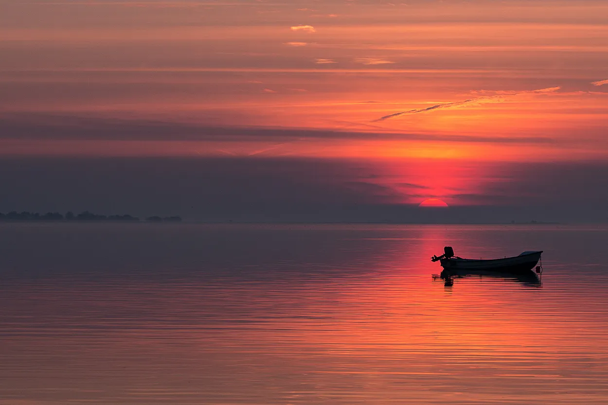 Entry 24626777