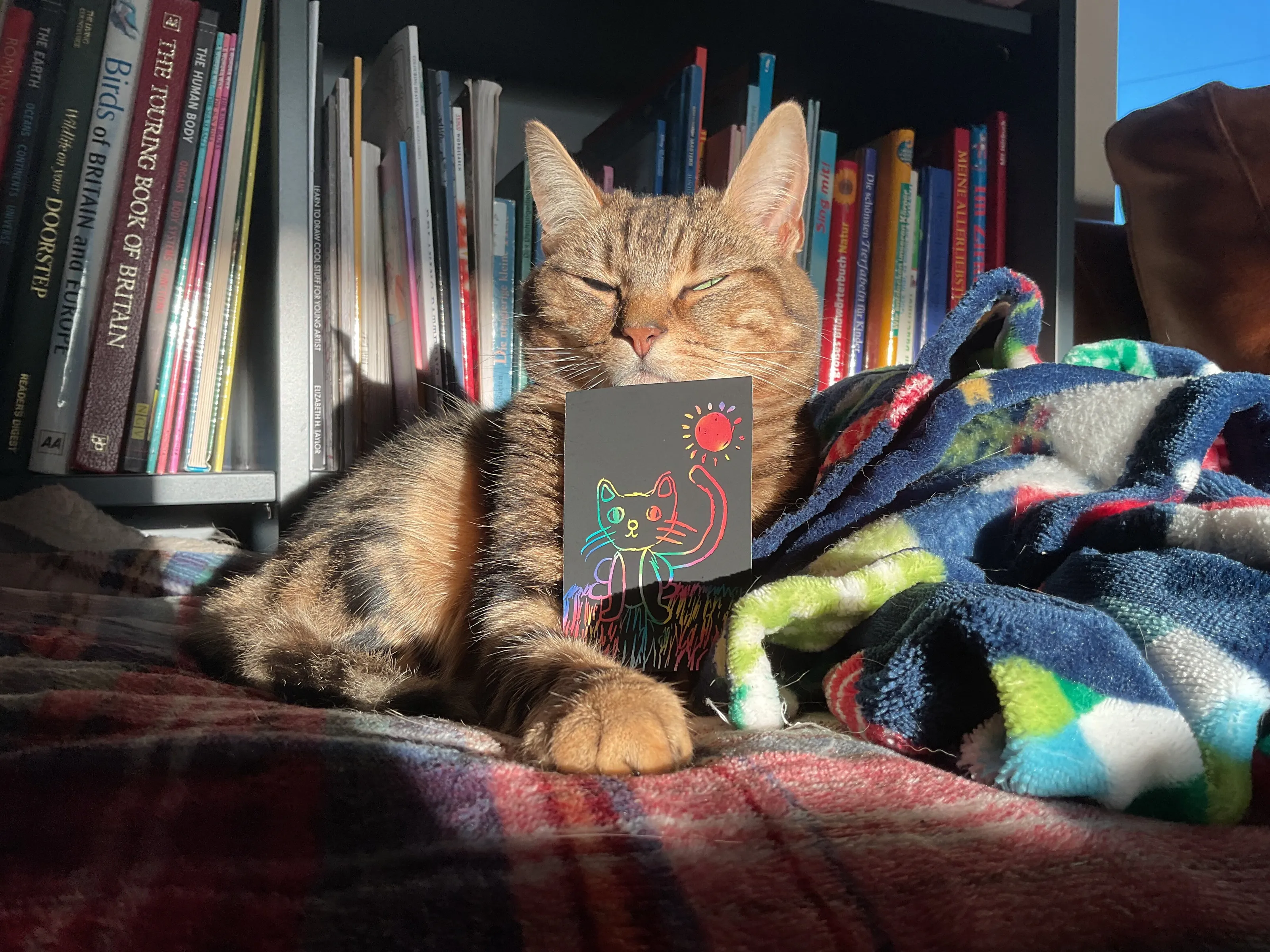 The Sphinx Of The Bookshelf