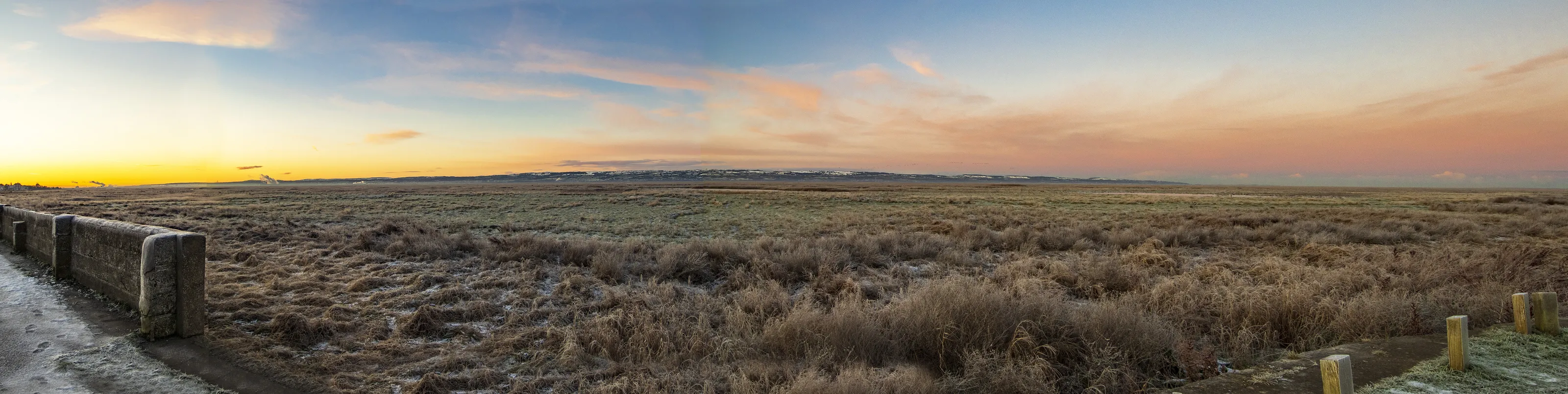 Panoramic 2