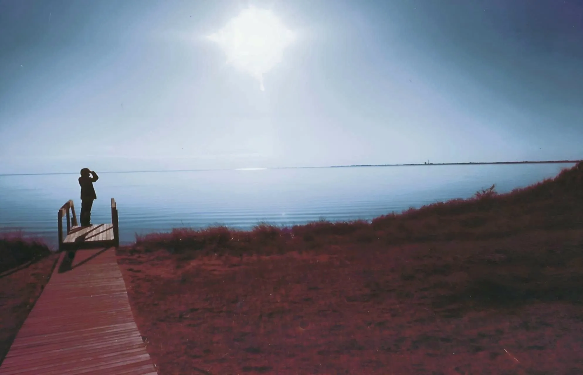 Cape Cod