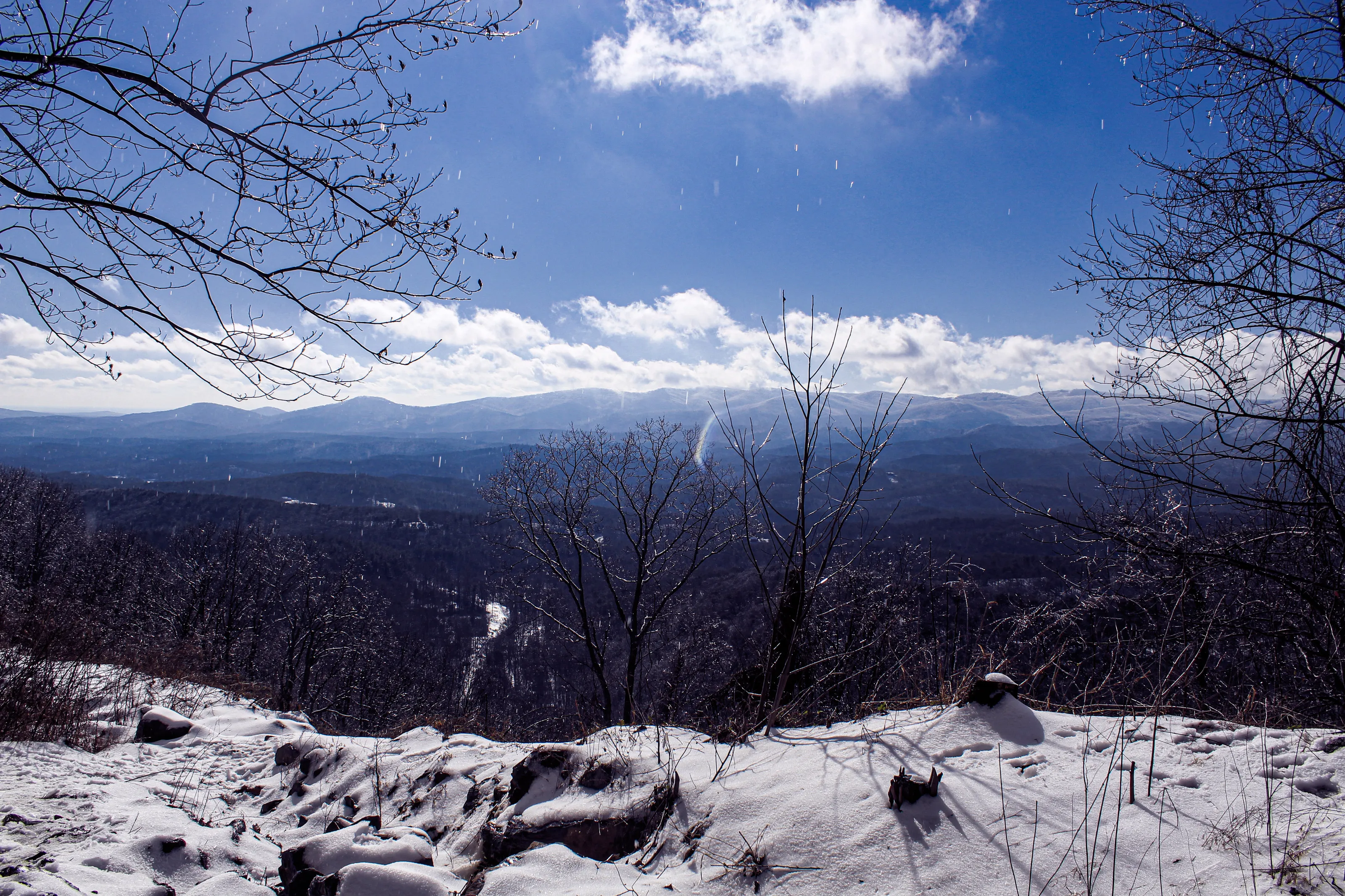 Ellijay Ga