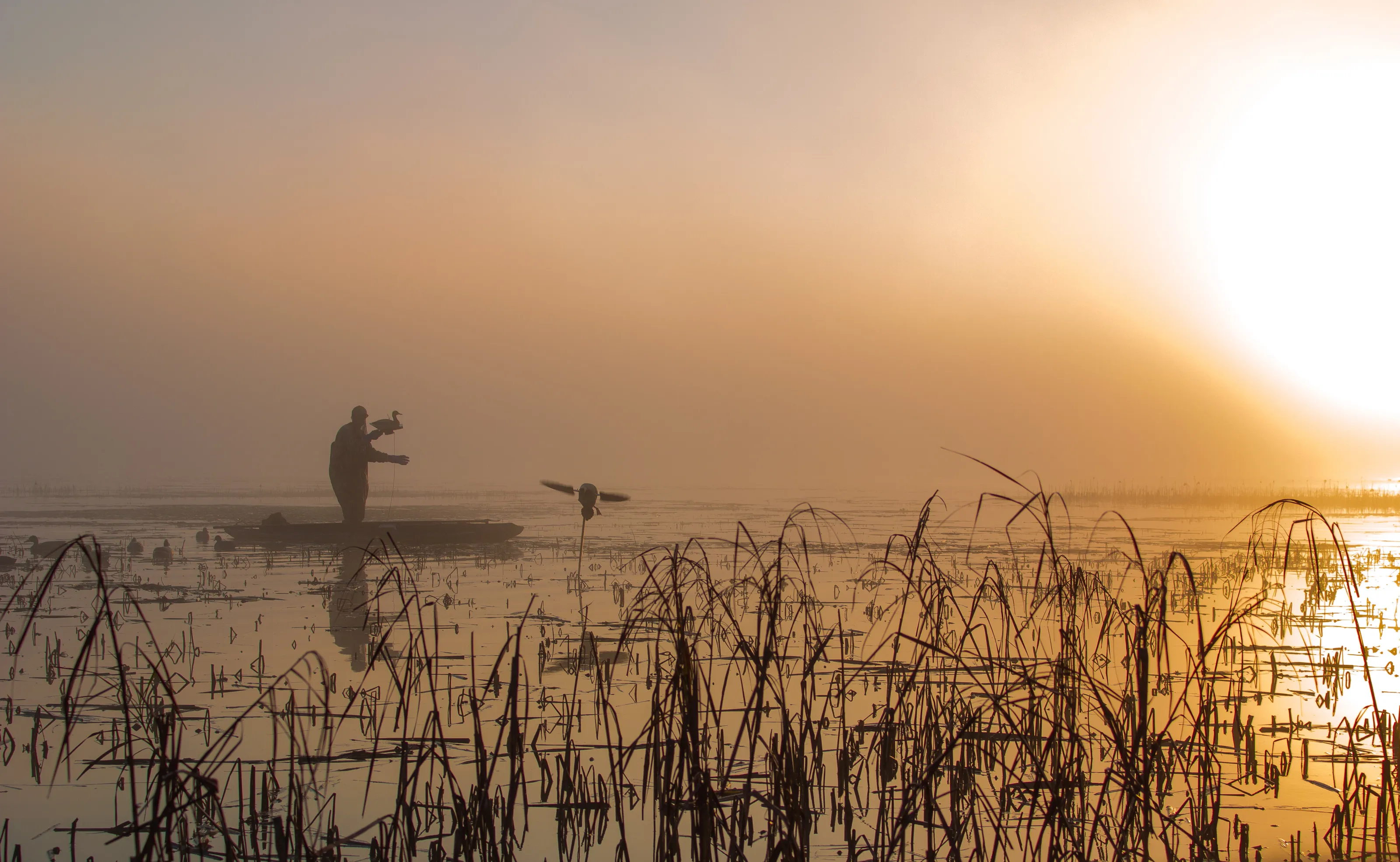 Morning Hunt