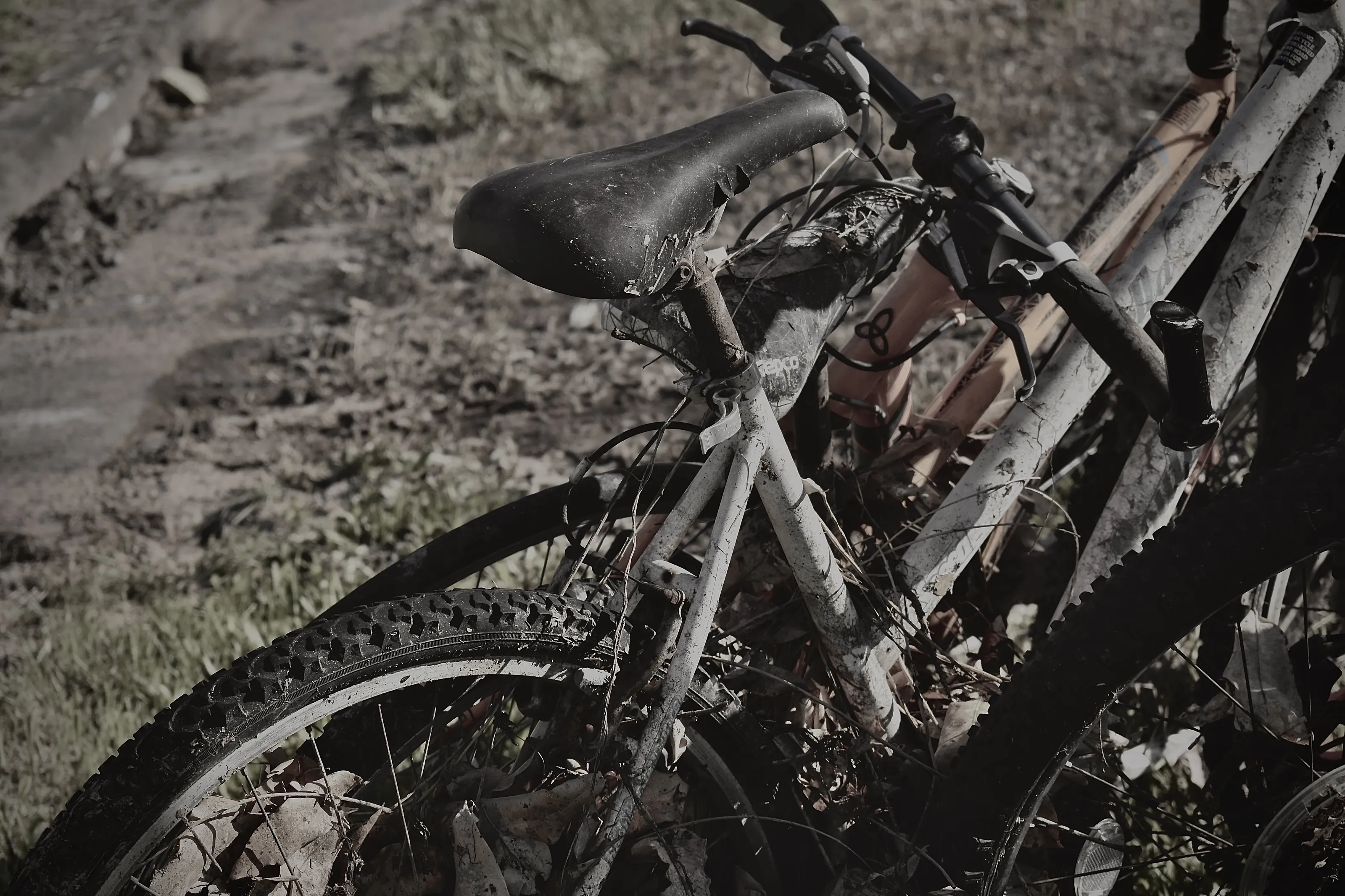 Muddy Wheels