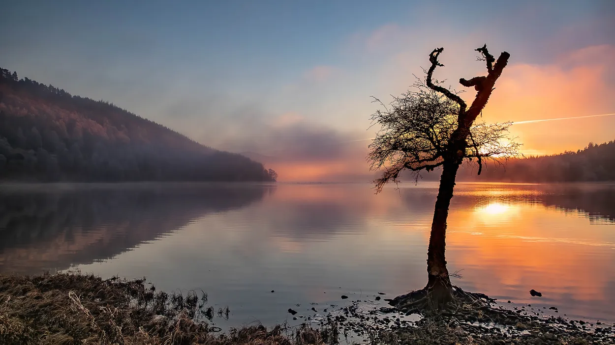 Entry 23303449