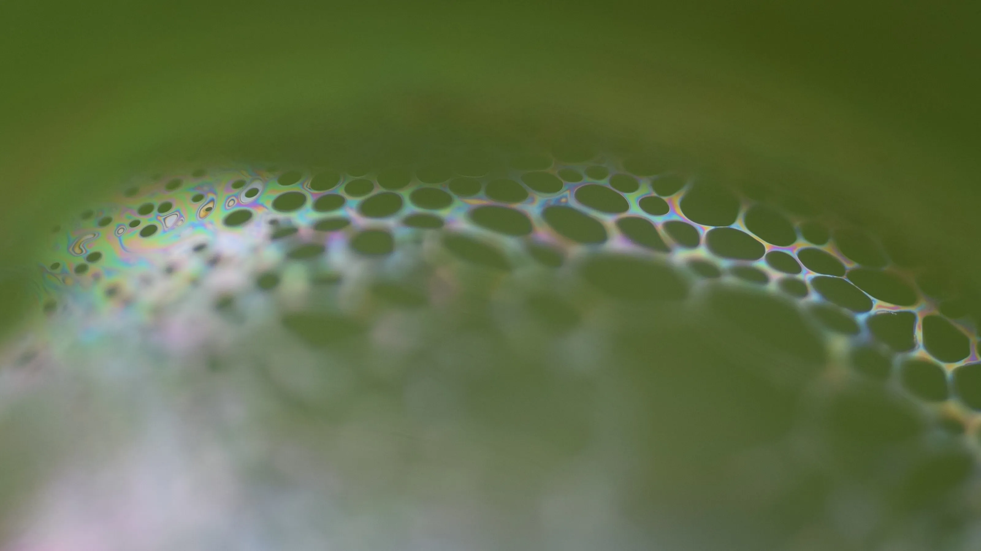 Surface of a bubble