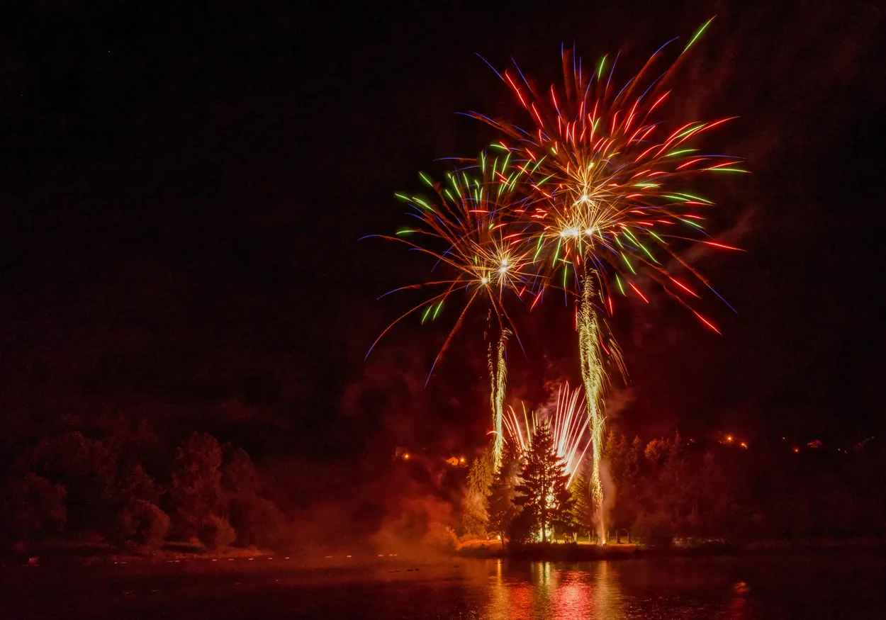 Tree between Fireworks
